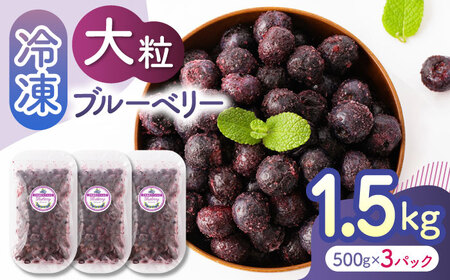 大粒 冷凍ブルーベリー 約1500g（約500g×3pc） 【すみれファーム】果物 フルーツ くだもの 大粒 小分け 熊本県産ブルーベリー  [ZEP008]
