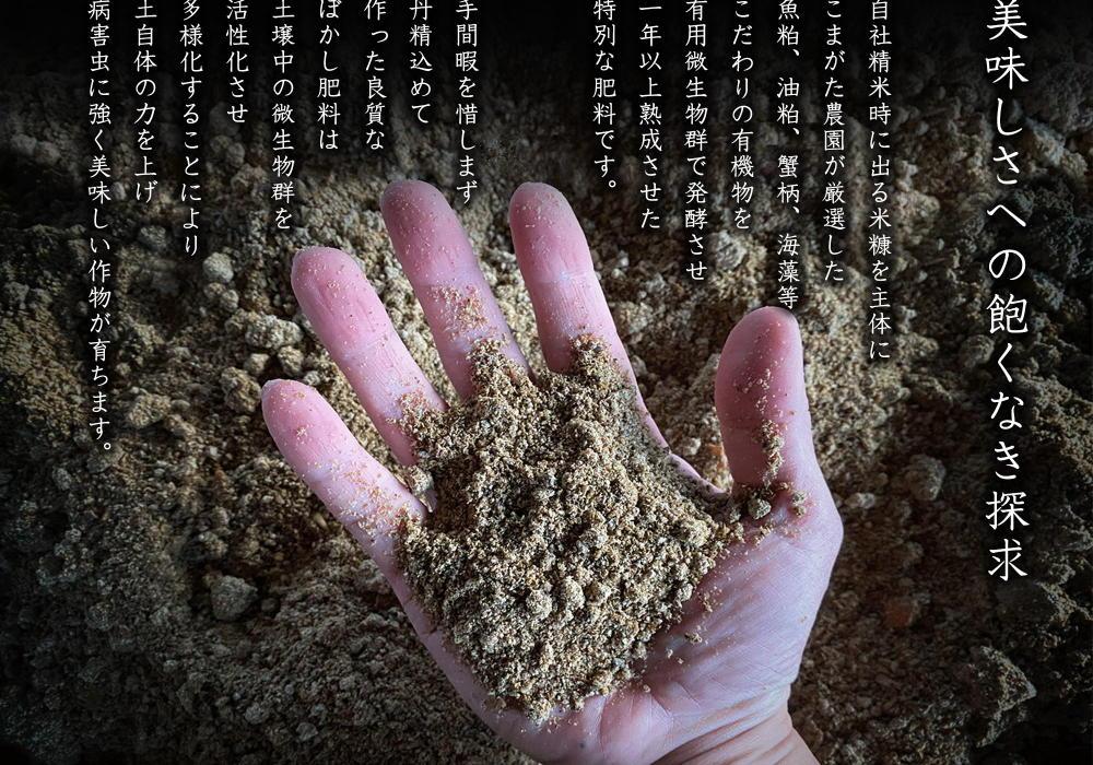 【定期便】【令和8年産新米】5kg×3ヶ月　最高金賞受賞  数量限定南魚沼産コシヒカリ 化学肥料不使用・農薬8割減栽培米「こまがた家のお米」【2026年9月中旬より1ヶ月以内に順次発送】