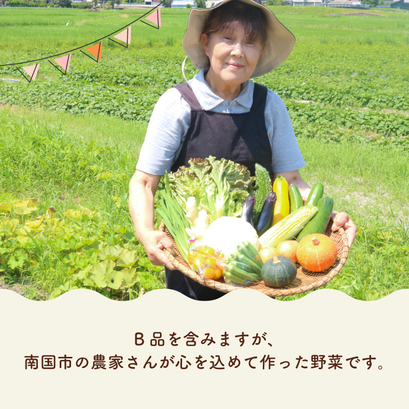 【野菜定期便全4回お届けコース】高知県産 南国土佐の季節野菜と卵（ゆずたま）の詰め合わせセット【新鮮野菜セット卵付き】【セット 詰め合わせ 旬 たまご 卵 柚子 人気 高知県 南国市】