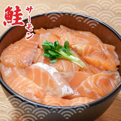 ふるさと納税 土佐市 土佐の海鮮丼食べくらべセット(ブリ・タイ・サーモン・マグロ)各2袋セット |  | 02