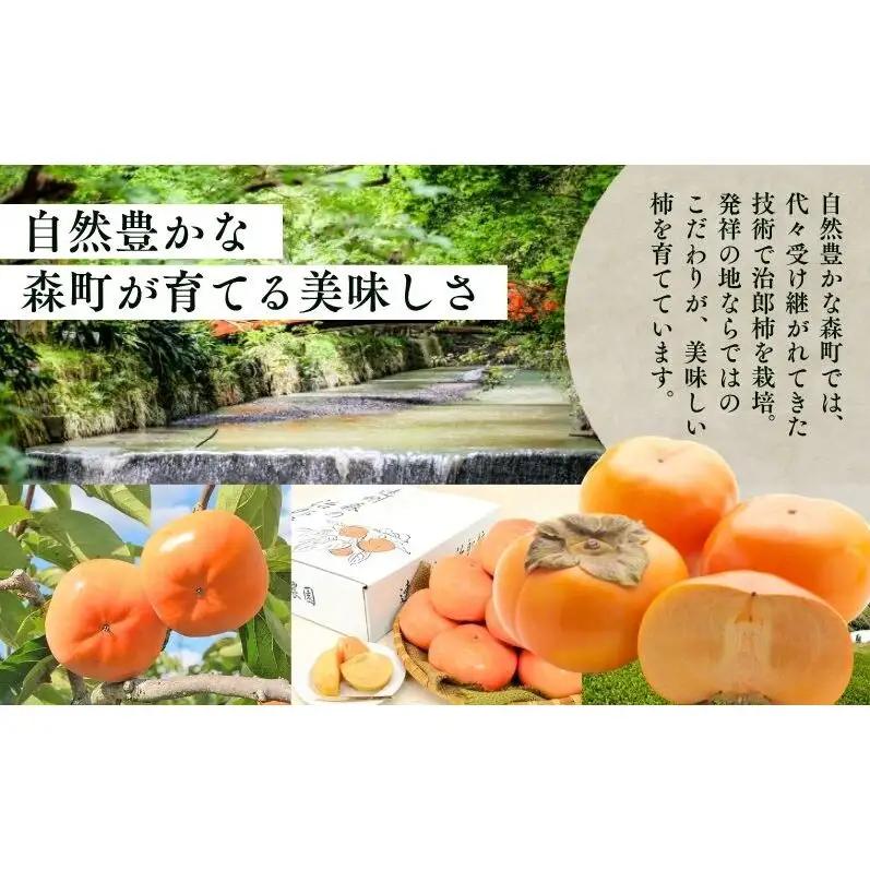 柿 遠州森鈴木農園 治郎柿 10～14玉 フルーツ 柿