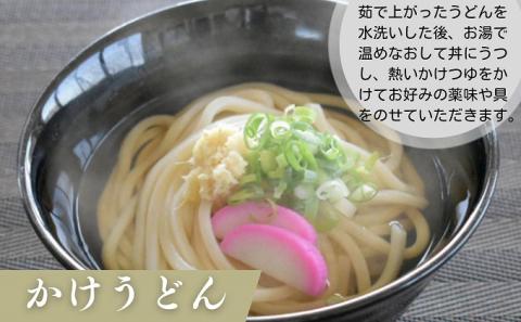 うどん 茹で時間15分のさぬきうどん 乾麺 60人前 香川