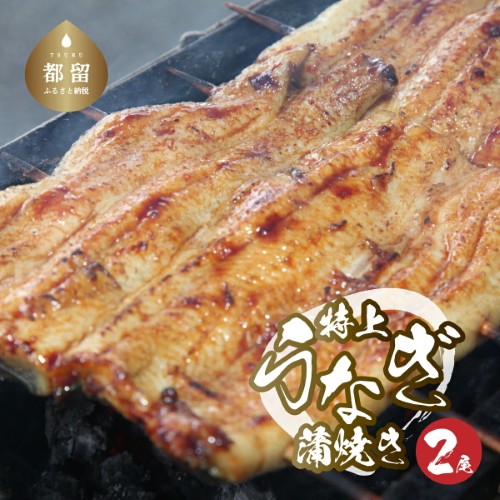 うなぎの蒲焼（半カット）2尾　380g以上　うなぎ ウナギ 鰻 かば焼き 蒲焼 冷凍 タレ うな重 うな丼 おすすめ 山椒　国産うなぎ