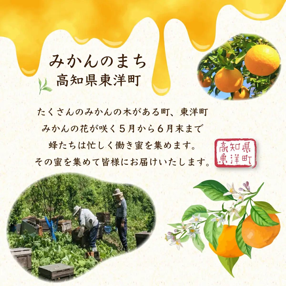 『純国産』土佐のみかん山のはちみつ＜1.2kg＞  TA20 【田中農園】