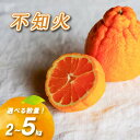 【ふるさと納税】 【3月中旬より発送】 不知火 2kg / 5kg ( 数量選択可 国産 愛媛みかん 愛媛蜜柑 愛媛ミカン みかん ミカン mikan 蜜柑 柑橘 フルーツ 果物 くだもの お取り寄せ 産地直送 数量限定 人気 おすすめ 愛媛県 松山市 送料無料 )