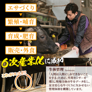 s686 さつま福永牛 鹿児島黒毛和牛 ハンバーグ(計約1.08kg・約180g×6P) 鹿児島 国産 九州産 黒毛和牛 牛肉 ひき肉 ハンバーグ 惣菜 おかず 冷凍ハンバーグ 冷凍 電子レンジ 簡単