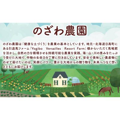 ふるさと納税 日高町 【先行予約 】フルーツ ほおずき 太陽の子 約500g のざわ農園《10月上旬-11月上旬頃出荷》