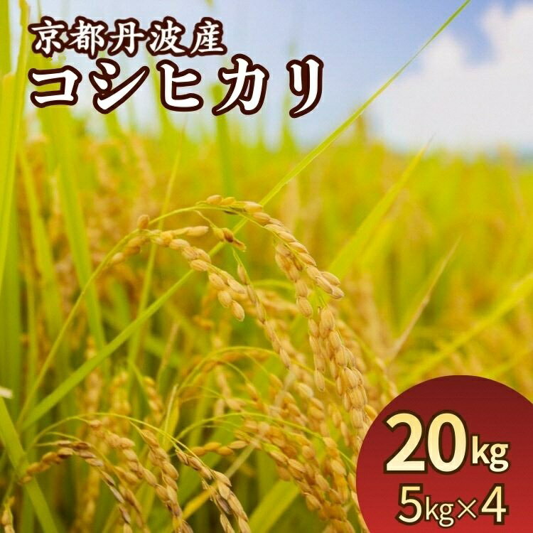 【ふるさと納税】令和7年産 米 京都丹波産コシヒカリ 20kg (5kg×4袋)＜JA京都たわわ朝霧＞≪農協 白米 精米 産地直送 送料無料 簡易包装 生活応援 人気 国産 こしひかり≫