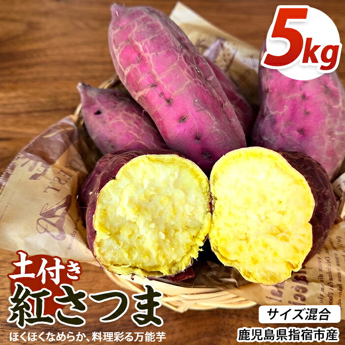 【ふるさと納税】【2026年10月上旬～順次発送】＜訳あり＞鹿児島県産さつまいも 紅さつま 約5kg 鹿児島 さつまいも さつま芋 サツマイモ 野菜 おやつ 常温【アグリファースト】