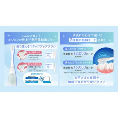 ふるさと納税 つくばみらい市 【ピジョン】はじめての仕上げ専用 電動歯ブラシ　グリーン |  | 03