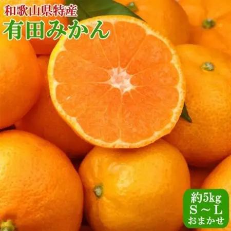 紀州有田みかん約5kg(S～Lサイズおまかせ)(日高町)【1711633】
