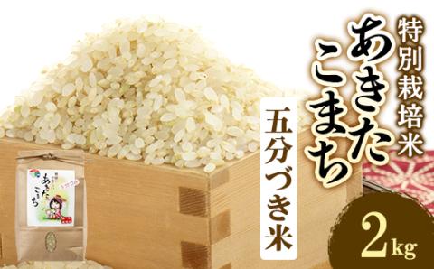 令和6年産　特別栽培米あきたこまち　五分づき米2kg【配送不可地域：離島・沖縄県】