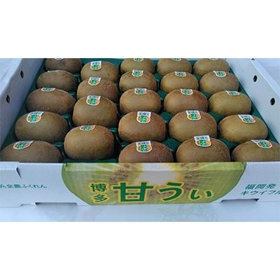 ふるさと納税 春日市 【春日】福岡限定!ブランドキウイ「甘うぃ(あまうぃ)」約3kg箱(24-30玉) |  | 03