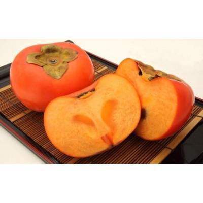 ふるさと納税 北栄町 プレミアム　富有柿　5kg前後