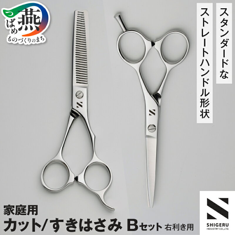 【ふるさと納税】 髪はさみ カット鋏 & 梳き鋏セット「B」【 すきハサミ 2丁 右利き用 家庭用 散髪 髪の毛 はさみ ヘアカット セルフカット ステンレス ギフト プレゼント 贈り物 新潟県 燕市 燕三条 】 [f30130]