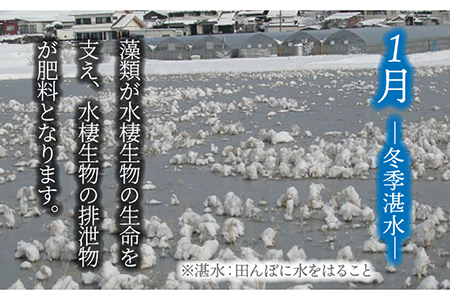 【令和7年産】玄米「廿ノ極」（4.5kg）多治見市/廿原ええのお お米 米 国産 多治見市産 プレゼント 贈答 贈り物 送料無料  [TCI001]