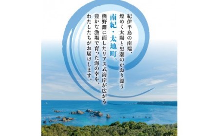 干物セット 大容量でお届け アジの開き20枚セット アジ あじ 干物 ひもの 詰め合わせ 干物【sio110A】