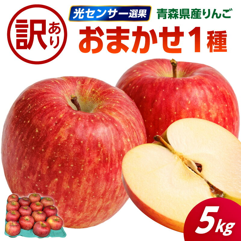 【ふるさと納税】 りんご 5kg 【 訳あり 】 1品種おまかせ ( 配送時期が選べる 10月～3月 )/ 不揃い 規格外 傷 果物 くだもの フルーツ 林檎 アップル リンゴ 秋 旬 常温保存 10月 11月 12月 1月 2月 3月 青森県 五所川原市