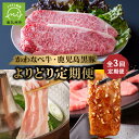 【ふるさと納税】全3回 かわなべ牛 鹿児島 黒豚 よりどり 定期便 肉 お肉 牛肉 豚肉 焼肉 しゃぶしゃぶ サーロイン ステーキ 牛ロース 黒毛和牛 薄切り 豚バラ肉 肩ロース しゃぶしゃぶ用 国産 鹿児島県産 南九州市 送料無料