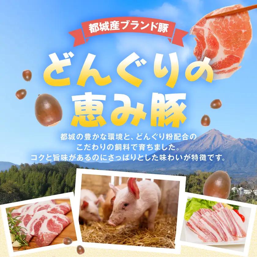「どんぐりの恵み豚」3種バラエティ1.2kg(真空パック)〔13-11-001〕_(都城市) 都城産 都城産ブランド豚 どんぐりの恵み豚 どんぐり粉飼料 ステーキ スライス 焼肉 豚肉