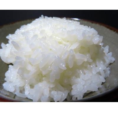 ふるさと納税 佐渡市 【毎月定期便】佐渡産こしひかり 5kg(精米)全6回 |  | 02