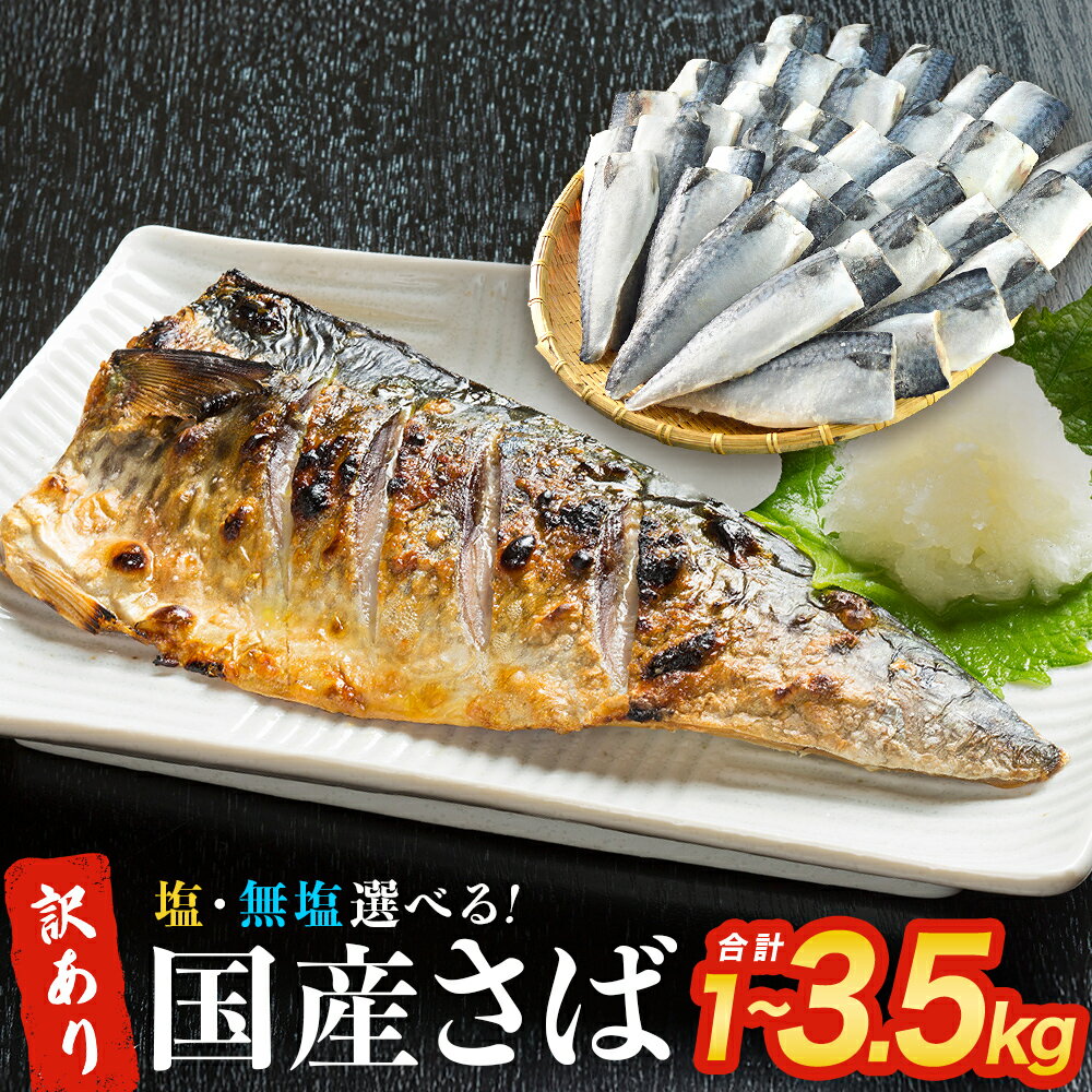 【ふるさと納税】《内容量が選べる》訳あり 国産さば 塩さば or 無塩さば さばフィレ 塩サバ 1kg 3kg 3.5kg 冷凍 サバ 魚 切身 フィレ 鯖 わけあり 不揃い 急速冷凍 新鮮 魚 青魚 鯖フィレ サバフィレ サバフィーレ 塩鯖 saba 国産 切り身 焼き魚 宮城県 石巻市 宮城 石巻