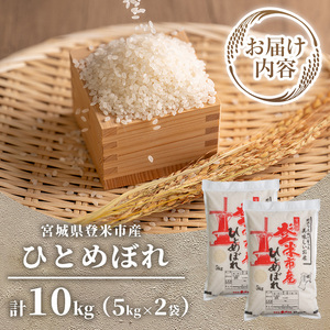 ≪令和7年産 新米≫ 登米市産 ひとめぼれ 10kg(5kg×2袋) 冷蔵米 お米 おこめ 米 コメ 白米 ご飯 ごはん おにぎり お弁当 佐沼交通株式会社【楽らく館】tm473