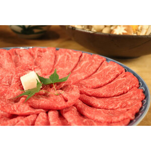【A5等級】 飛騨牛 モモ・カタ すき焼き・しゃぶしゃぶ用 約600g【飛騨牛 肉 牛肉 赤身】