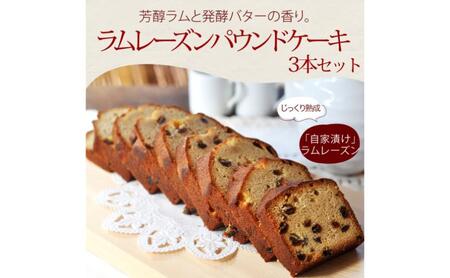 【焼き菓子のうさぎ堂 謹製】じっくり熟成したラムレーズンのパウンドケーキ 3本セット 焼菓子 スイーツ お取り寄せ グルメ 長野市