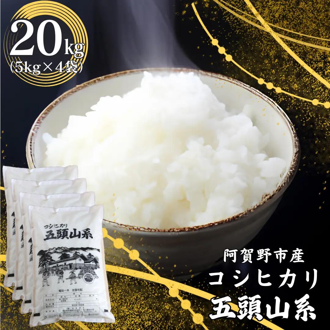 【令和7年産】「米屋のこだわり阿賀野市産」コシヒカリ どーんと 20kg ！ (5kg×4袋) 新潟県 米 こめ コメ 白米 精米 1E03039