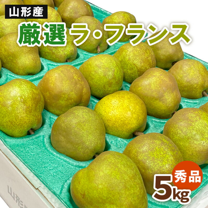【ふるさと納税】厳選ラ・フランス 秀品5kg fz20-577 ラフランス 洋梨 フルーツ 果物 お取り寄せ 送料無料 洋なし