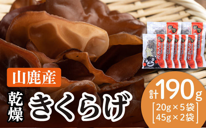 
乾燥 きくらげ セット 45g×2袋、20g×5袋【株式会社 地の塩社】乾物 キクラゲ 国産 天日干し [ZAN002]
