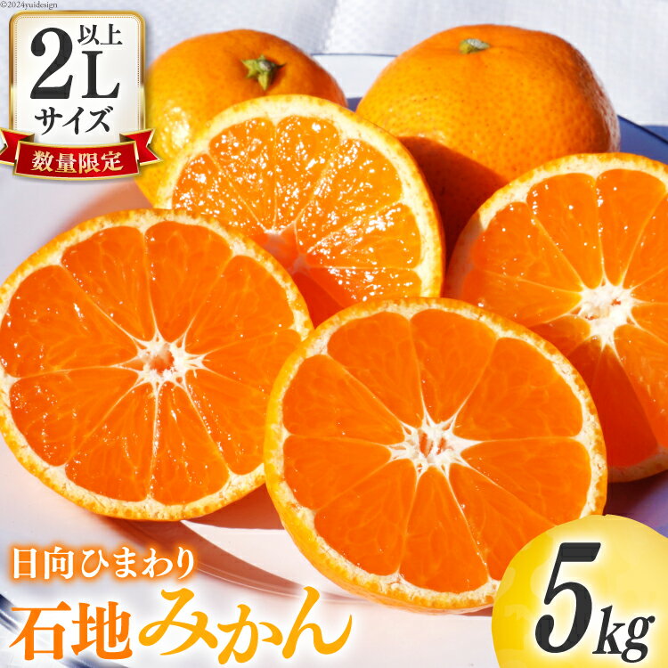 【ふるさと納税】【期間限定発送】 みかん 2L サイズ以上 石地みかん 5kg [ひまわり農園 宮崎県 日向市 452061494] ミカン 柑橘 フルーツ 果物 数量限定
