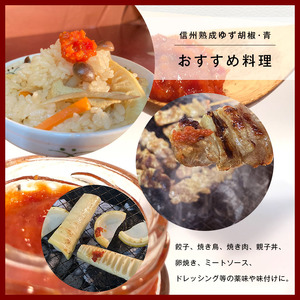 全て手仕事で仕込んだ　天龍村特産 信州熟成ゆず胡椒 [赤] 4個セット
