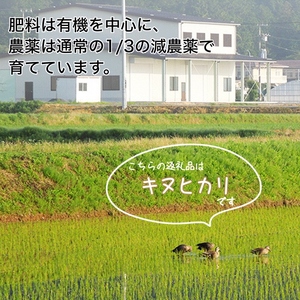 米 キヌヒカリ 玄米 20kg〈アグリにのうみ〉京都・亀岡産《令和5年産》※着日指定不可※沖縄・北海道・離島お届け不可