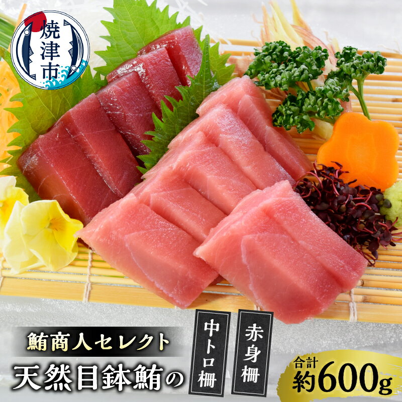 【ふるさと納税】 まぐろ 鮪 中トロ 赤身 セット 鮪商人 セレクト 天然 目鉢鮪 中トロ柵 赤身柵 計600g 魚 焼津 a20-418