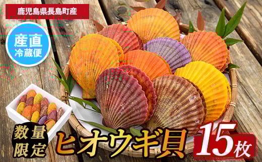 
            《令和7年11月より順次発送予定》＜期間・数量限定＞長島特産！ヒオウギ貝(15個)【口之福浦ヒオウギ貝出荷グループ】 kuchi-7188
          