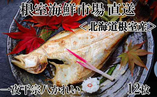 G-11006 【北海道根室産】一夜干し宗八かれい12枚