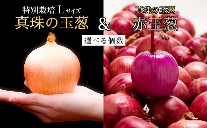 
                  ＜選べる内容量・種類＞真珠の玉葱 特別栽培Lサイズ 5kg/10kg or 赤玉葱Lサイズ10玉 ≪海のミネラルで育てた特別栽培玉葱≫
                
