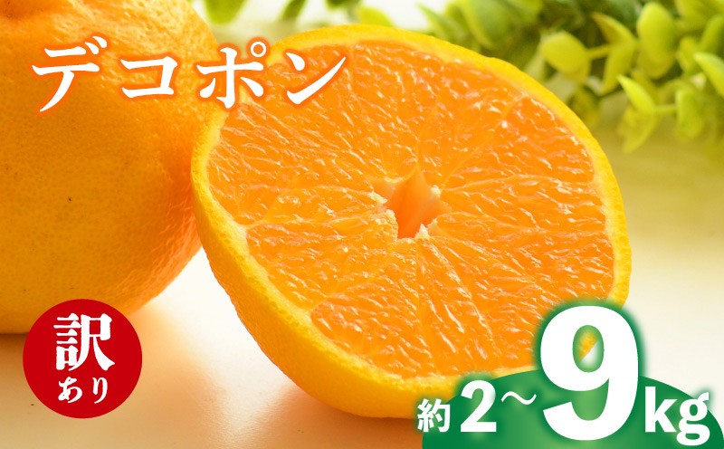 
            2026年 先行予約 デコポン 約2g 4kg 9kg 訳あり 不知火 しらぬい みかん 柑橘 蜜柑 オレンジ 果物 フルーツ 果実 旬 家庭用 2月中旬～4月中旬 配送 香川県 丸亀市
          