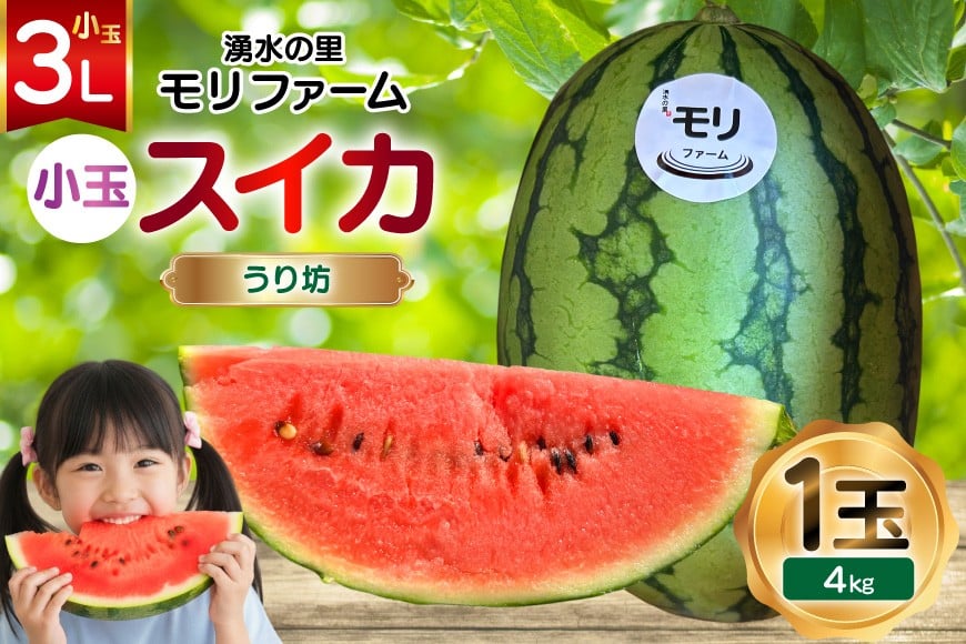 
            AJ460 【令和8年度出荷分】 湧水の里 モリファーム 小玉スイカ うり坊 3L 4kg 1玉  [ 先行予約 数量限定 小玉 うり坊 スイカ 西瓜 フルーツ 果物 長崎 長崎県 島原市 ]
          