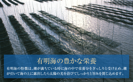 P26-38 有明海産　焼き海苔　ボトル4本　10切100枚×4本　計400枚 【SHINWN】 【fukuchi00】