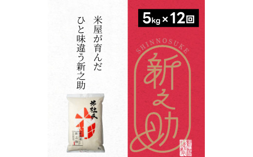 【令和7年産新米】【12ヶ月定期便】 特別栽培米 新之助 5kg (5kg×1袋)×12回 米杜氏 壱成 白米 精米 大粒 つや 光沢 弾力 芳醇 1H50217