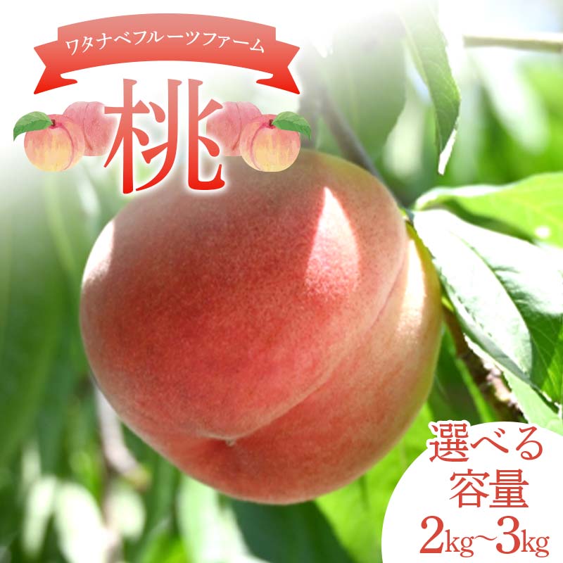 【ふるさと納税】＼選べる容量／ ワタナベフルーツファームの桃 約2kg （6玉～7玉）or 約3kg （7玉～11玉） もも モモ フルーツ 果物 F6Q-123var