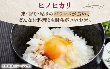 令和7年産 ヒノヒカリ 白米 5kg  [HBL053]白米 白米 白米 白米 白米 白米 白米