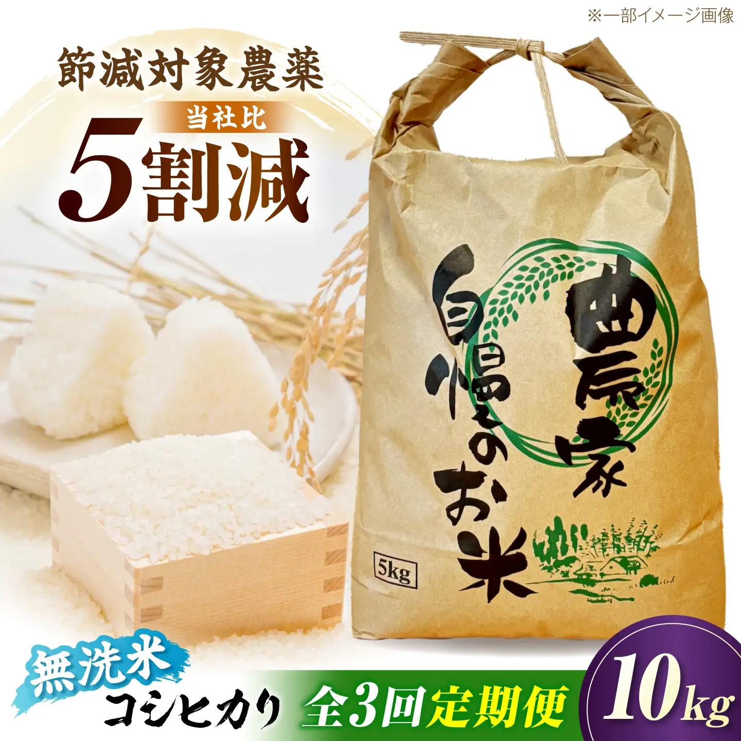 【全3回定期便】無洗米 コシヒカリ 10kg 滋賀県長浜市/狩野農園[AQDK008]