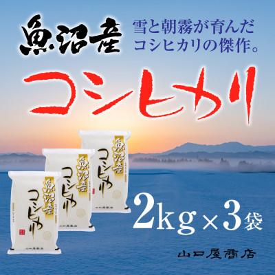 ふるさと納税 十日町市 【令和7年産】【厳選☆十日町育ち】 魚沼産コシヒカリ　2kg×3袋