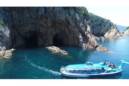 (1535)青海島観光汽船乗船券2名様分と宴会用ふぐ刺身4人前×2皿・唐揚付（冷凍）