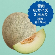 【2025年先行予約】飯岡メロン　6Lサイズ(約2.2kg)×2玉セット(計約4.4kg)