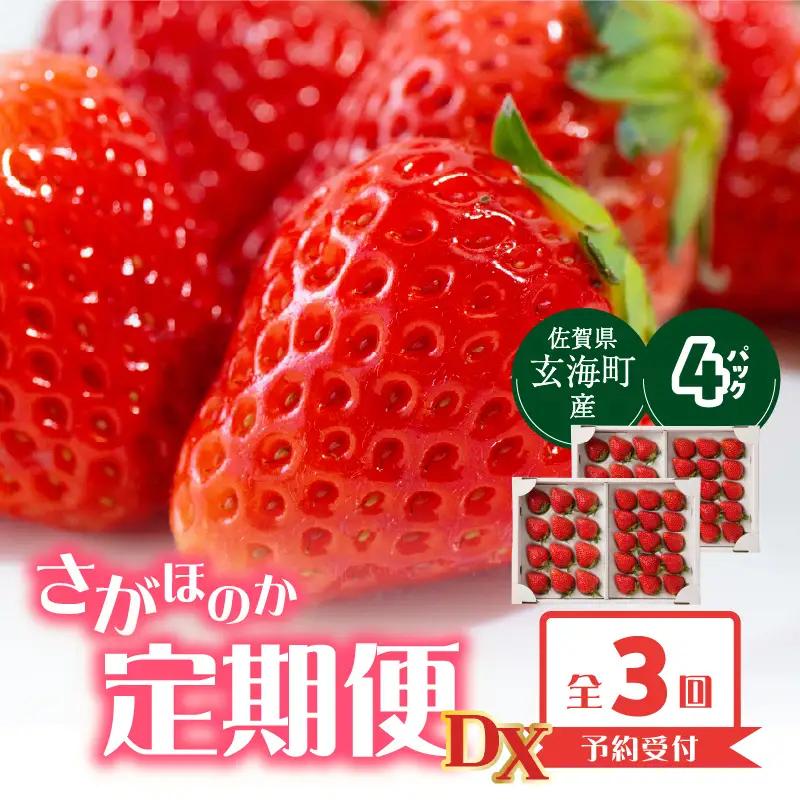 佐賀県玄海町産「さがほのか」毎月定期便DX ／ いちご さがほのか【Z112】